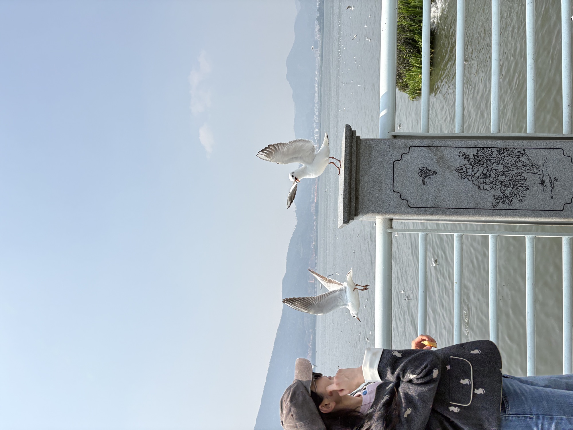 两只海鸥朝晶晶手里的面包俯冲