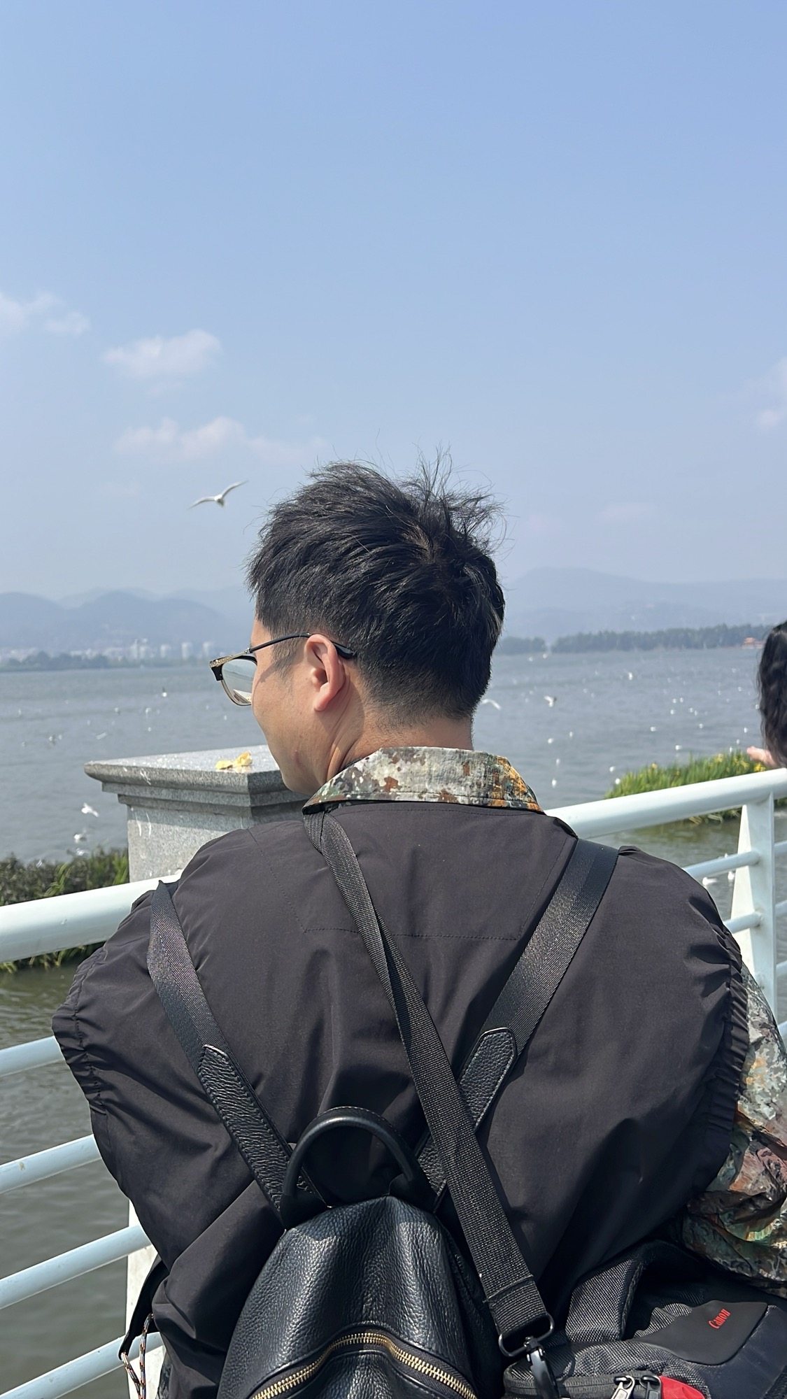 在领的背影，望着满湖的海鸥